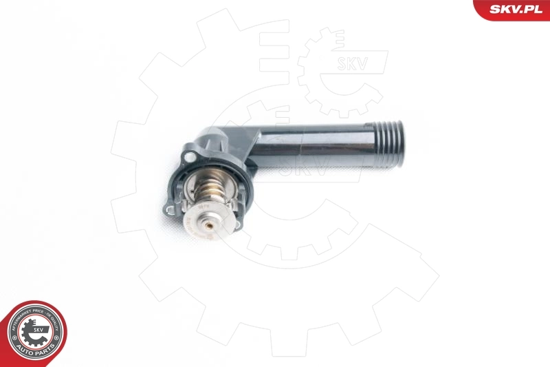 Thermostat, coolant